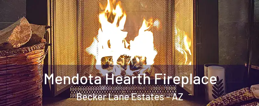 Mendota Hearth Fireplace Becker Lane Estates - AZ