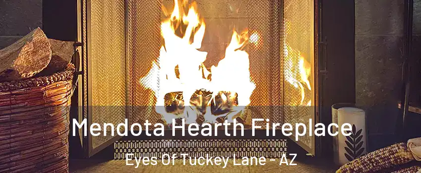 Mendota Hearth Fireplace Eyes Of Tuckey Lane - AZ