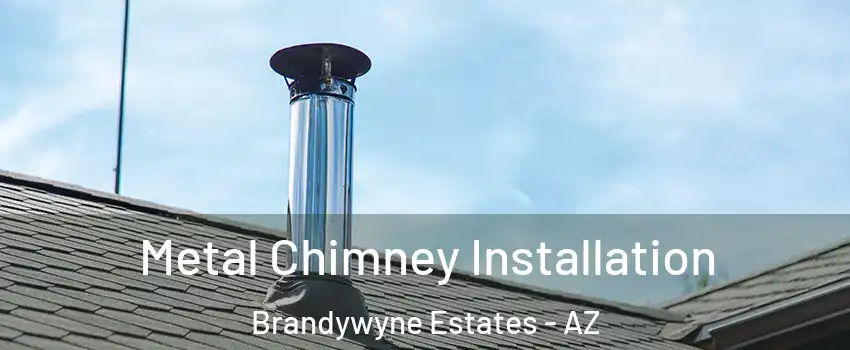 Metal Chimney Installation Brandywyne Estates - AZ