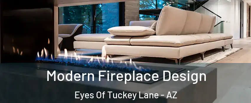 Modern Fireplace Design Eyes Of Tuckey Lane - AZ