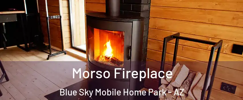 Morso Fireplace Blue Sky Mobile Home Park - AZ