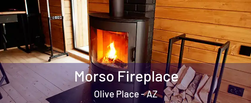 Morso Fireplace Olive Place - AZ