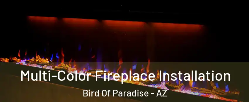 Multi-Color Fireplace Installation Bird Of Paradise - AZ
