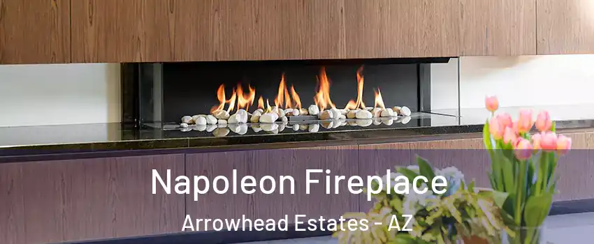 Napoleon Fireplace Arrowhead Estates - AZ