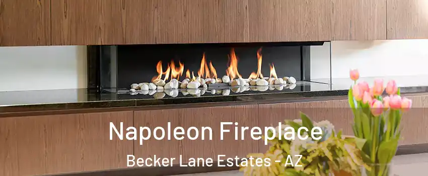 Napoleon Fireplace Becker Lane Estates - AZ