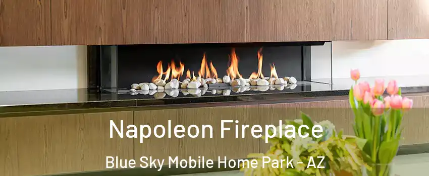 Napoleon Fireplace Blue Sky Mobile Home Park - AZ