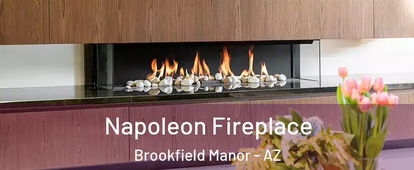 Napoleon Fireplace Brookfield Manor - AZ