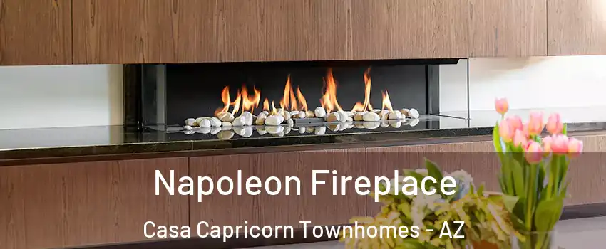 Napoleon Fireplace Casa Capricorn Townhomes - AZ