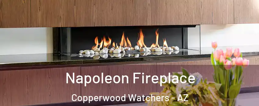Napoleon Fireplace Copperwood Watchers - AZ