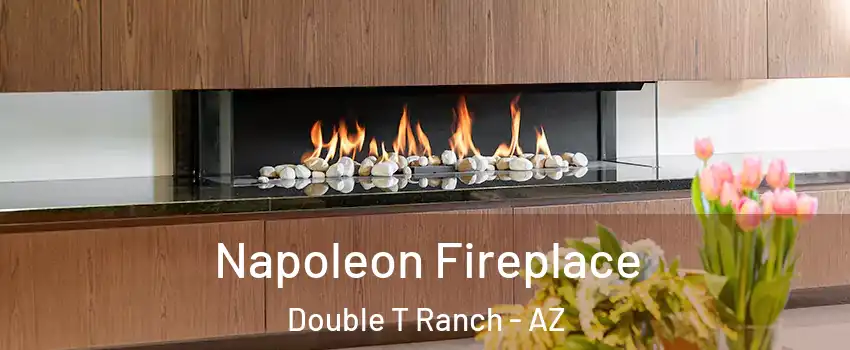 Napoleon Fireplace Double T Ranch - AZ