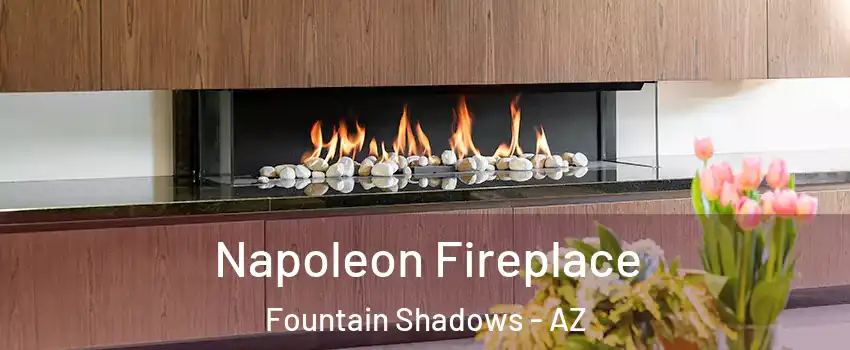 Napoleon Fireplace Fountain Shadows - AZ