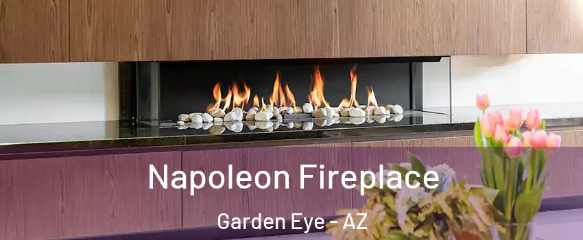 Napoleon Fireplace Garden Eye - AZ