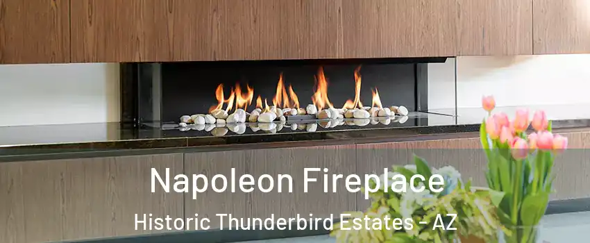 Napoleon Fireplace Historic Thunderbird Estates - AZ
