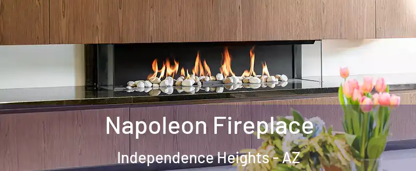 Napoleon Fireplace Independence Heights - AZ