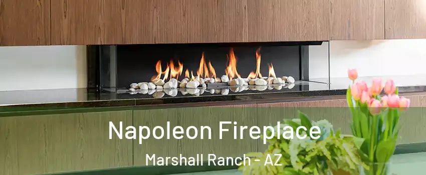Napoleon Fireplace Marshall Ranch - AZ