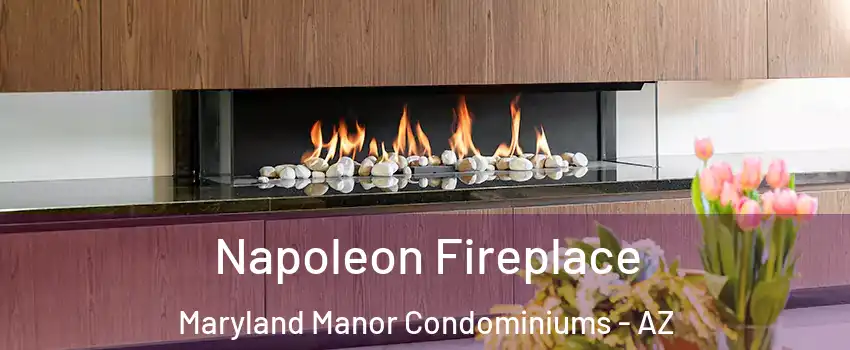 Napoleon Fireplace Maryland Manor Condominiums - AZ