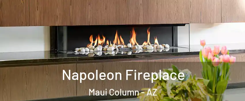 Napoleon Fireplace Maui Column - AZ