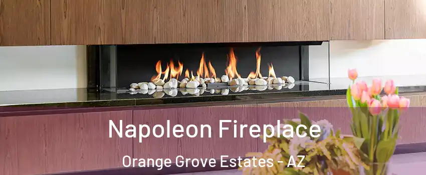Napoleon Fireplace Orange Grove Estates - AZ
