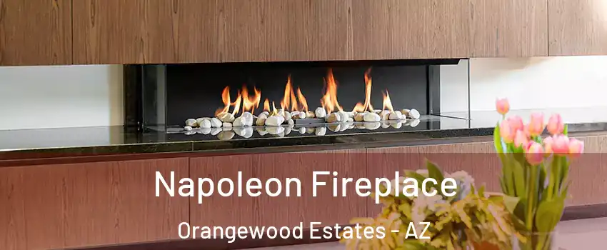 Napoleon Fireplace Orangewood Estates - AZ