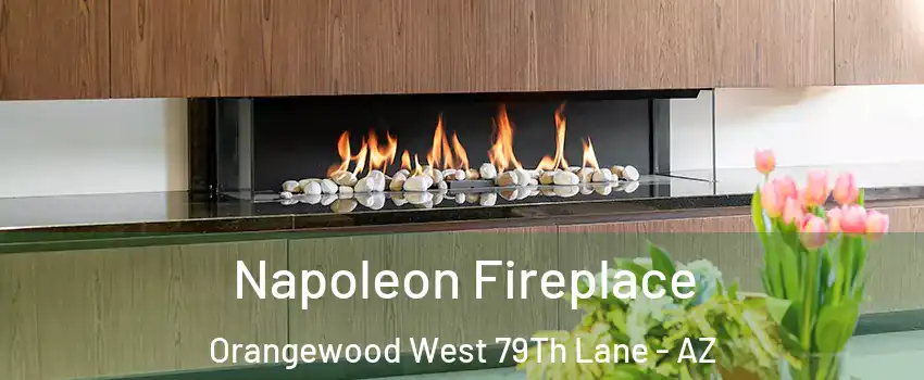 Napoleon Fireplace Orangewood West 79Th Lane - AZ