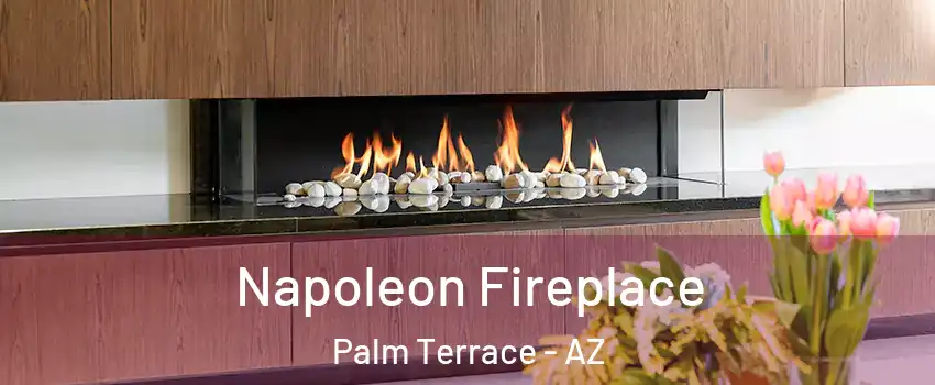 Napoleon Fireplace Palm Terrace - AZ