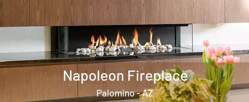 Napoleon Fireplace Palomino - AZ