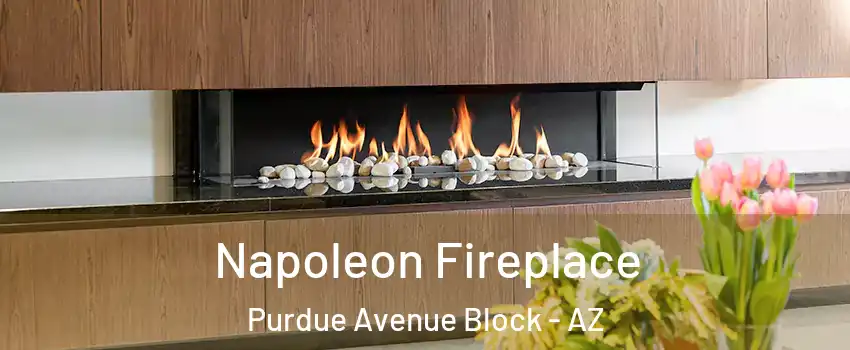 Napoleon Fireplace Purdue Avenue Block - AZ