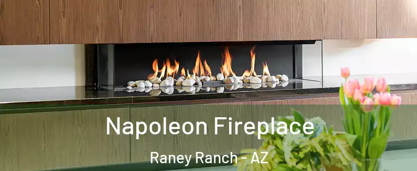 Napoleon Fireplace Raney Ranch - AZ