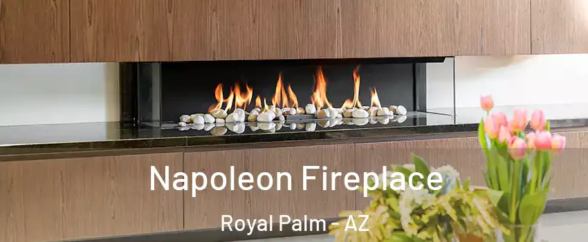 Napoleon Fireplace Royal Palm - AZ