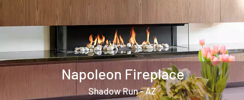Napoleon Fireplace Shadow Run - AZ