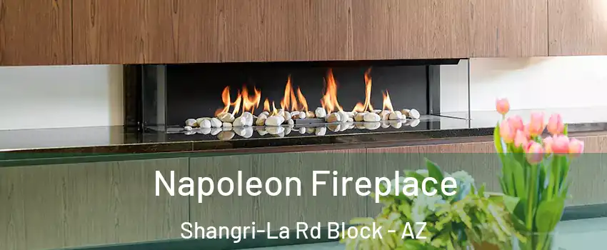 Napoleon Fireplace Shangri-La Rd Block - AZ