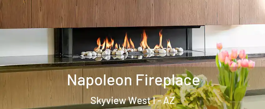 Napoleon Fireplace Skyview West I - AZ
