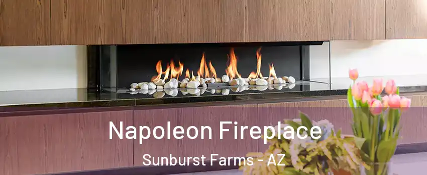 Napoleon Fireplace Sunburst Farms - AZ