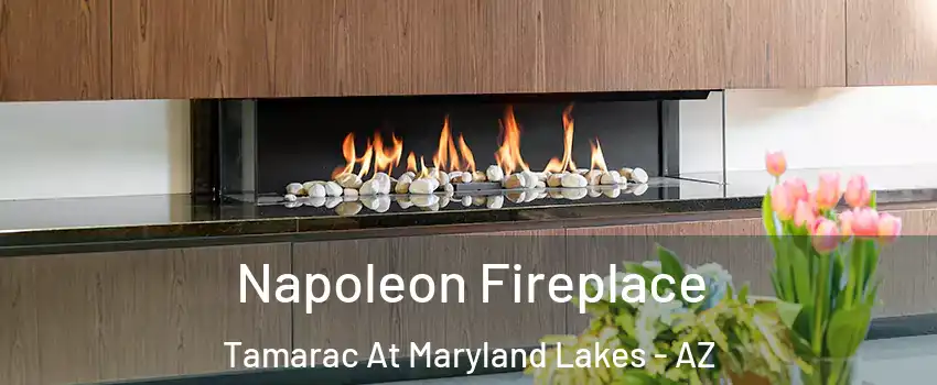 Napoleon Fireplace Tamarac At Maryland Lakes - AZ