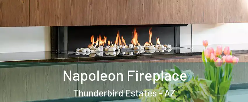 Napoleon Fireplace Thunderbird Estates - AZ
