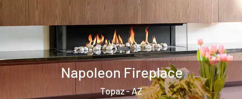 Napoleon Fireplace Topaz - AZ
