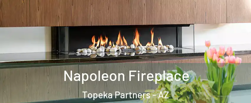 Napoleon Fireplace Topeka Partners - AZ