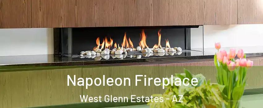 Napoleon Fireplace West Glenn Estates - AZ