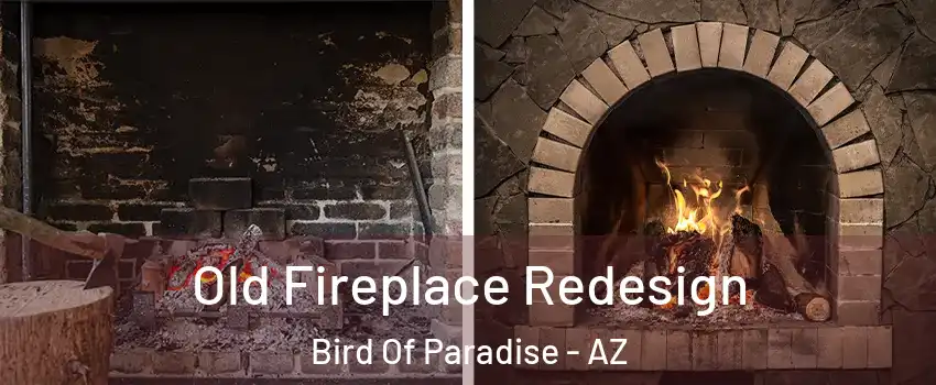 Old Fireplace Redesign Bird Of Paradise - AZ