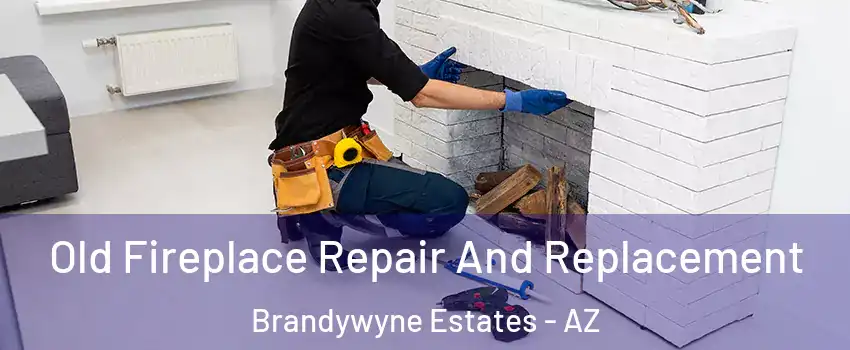 Old Fireplace Repair And Replacement Brandywyne Estates - AZ
