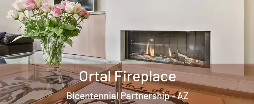 Ortal Fireplace Bicentennial Partnership - AZ