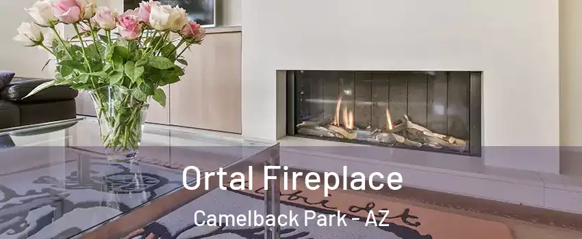 Ortal Fireplace Camelback Park - AZ