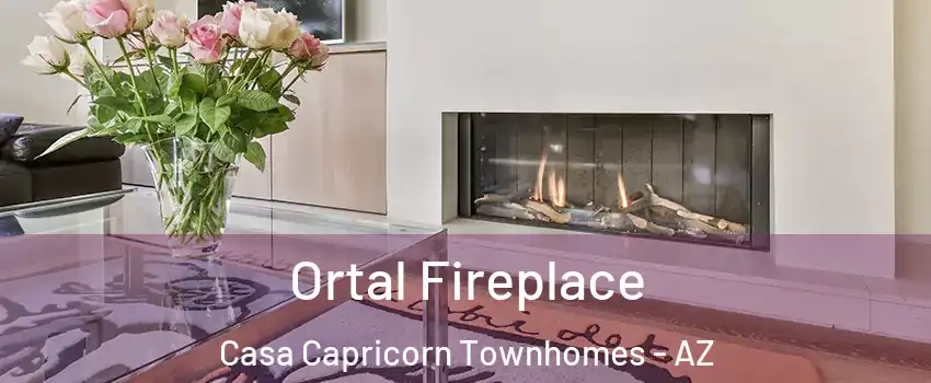 Ortal Fireplace Casa Capricorn Townhomes - AZ