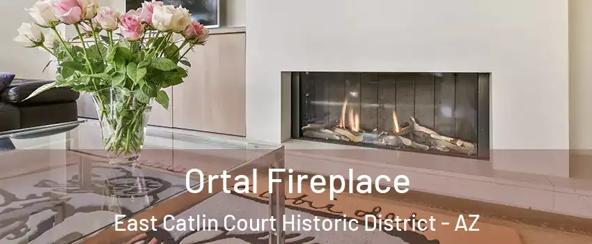 Ortal Fireplace East Catlin Court Historic District - AZ