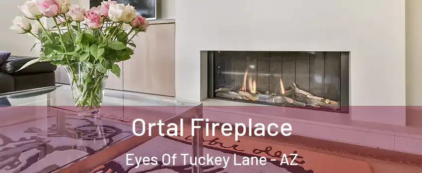 Ortal Fireplace Eyes Of Tuckey Lane - AZ