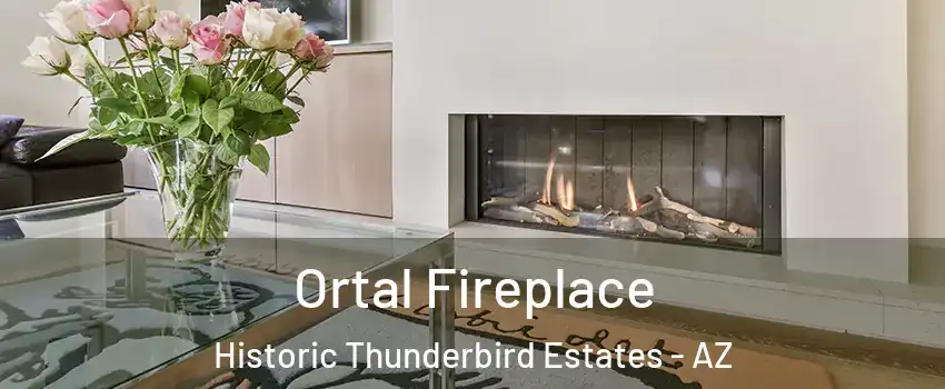Ortal Fireplace Historic Thunderbird Estates - AZ