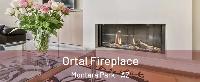 Ortal Fireplace Montara Park - AZ