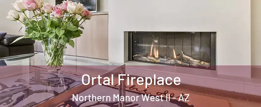 Ortal Fireplace Northern Manor West II - AZ
