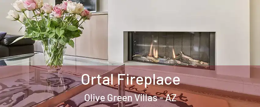 Ortal Fireplace Olive Green Villas - AZ