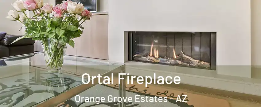 Ortal Fireplace Orange Grove Estates - AZ
